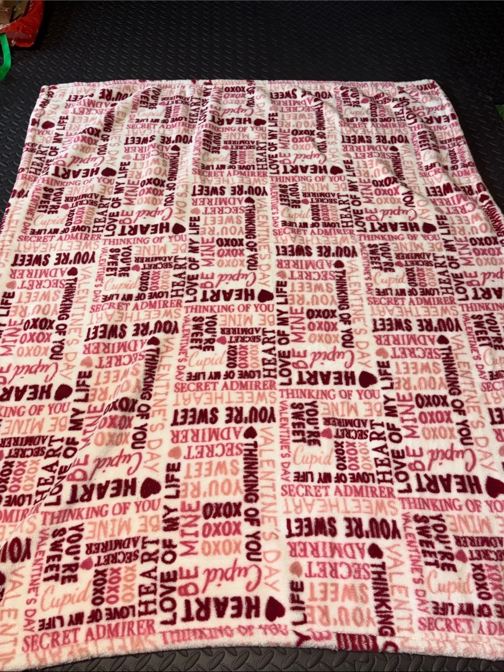 Valentine's Fleece Throw Blanket - Pink & Red Text Print